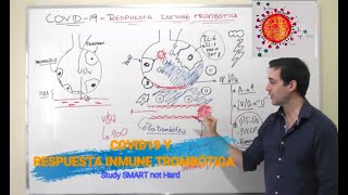 COVID19 Y RESPUESTA INMUNE TROMBÓTICA