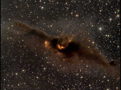 LDN 43: The Cosmic Bat Nebula