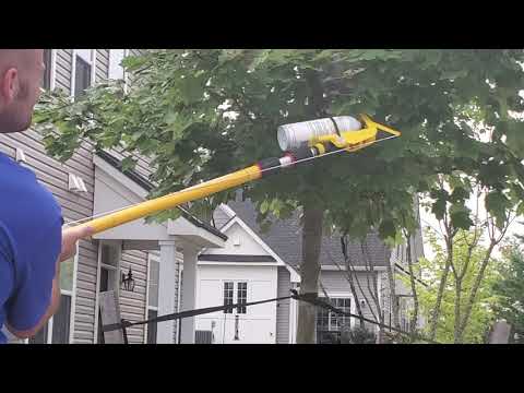 Bald-Faced Hornets Nest Dangerously Close to Home in Pennington, NJ
