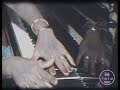 Africando - Gouye Gui Ft. Medoune Diallo | #TrackOfTheDay