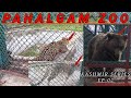 Kashmir Series: Exploring Pahalgam Zoo | White Tiger | Brown Bear | Himalayan Bear | Vlog-65