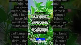 Download lagu kecewa dan patah hati boleh tapi #vidio #viralvideo #quotes #motivasi mp3