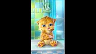 Chat qui chante et prend une douche