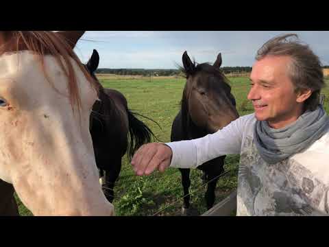 Richard Pachman: Světlo naděje / Light of Hope (2020)