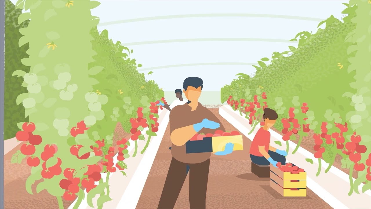 Video preview poster