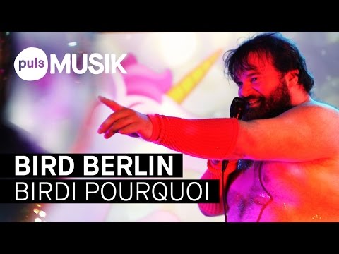 Bird Berlin - Birdi Pourquoi (PULS Live Session)