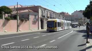 preview picture of video 'CCFL Carris Articulated Tram Siemens Duewag ITB1616 Fleet number 501'