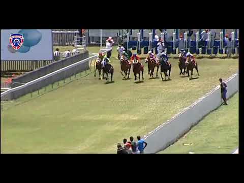 RM38 R1 | Never Fear | N.Juglall