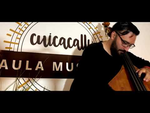 Clases de Contrabajo - Aula musical Cuicacalli