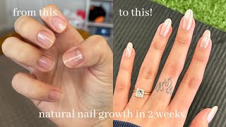 how i grew my natural nails long || gel nails at home + tips & tricks for strong, healthy nails!