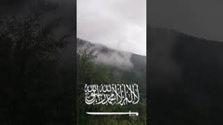 Download lagu YAH ALLAH #islamicmotivation #rasoolallah #ameen #duroodshareef #fearallah #alquran #followsunnah mp3