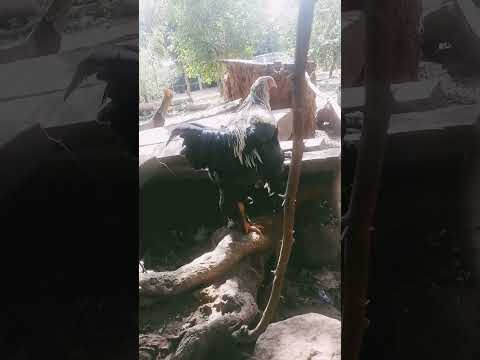 😍🙌🏻 #cordillera #emboscada #love