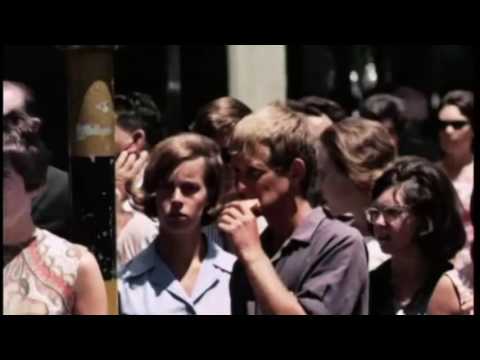 Te Huhu - Cruising Around