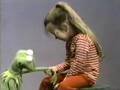 Classic Sesame Street Kermit And Joey 3
