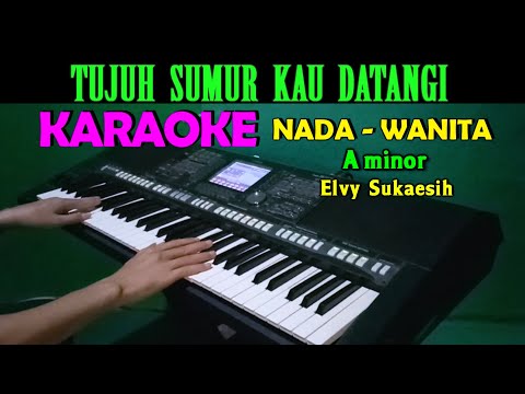 TUJUH SUMUR - Elvy Sukaesih | KARAOKE Nada Wanita, HD