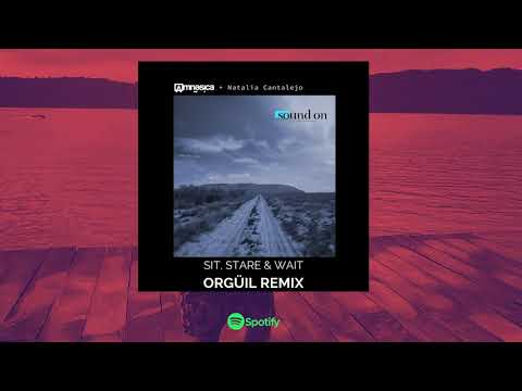 Amnesica ft Natalia Cantalejo - Sit, Stare & Wait Orgüil Remix
