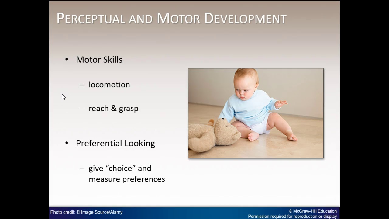 Chapter 9 Human Development Narrated PowerPoint