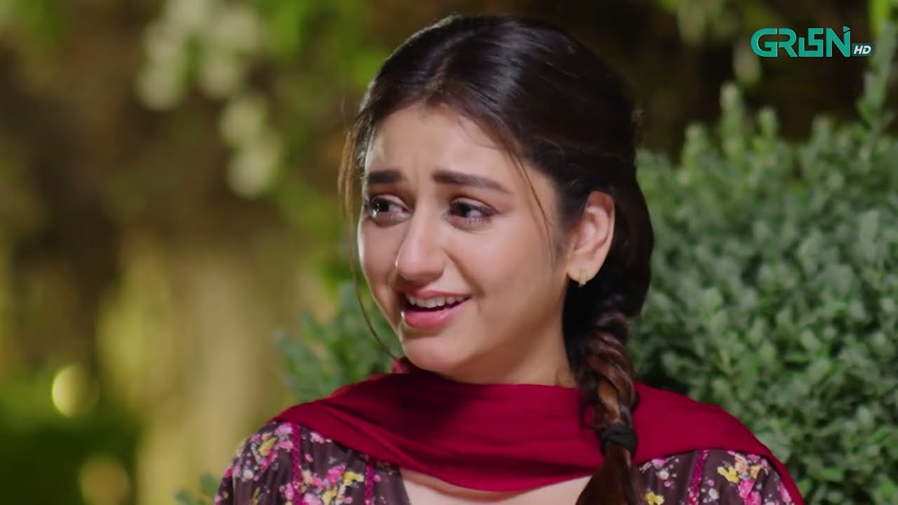 Aik Bhool Episode 35 | Best Scene 03 | Green TV Entertainment