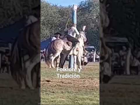 Tremendo el Coronel de Enzo Vega con Pachi Maine #jinete #horse #caballos