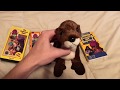 Elmo Barney Are Hunter S Home Media Herbstreit Babboos