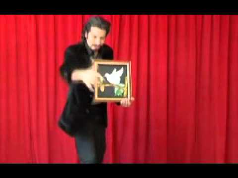 Dove Picture to Real Dove by Tora