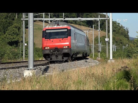 IR 36 nach Basel in Schinznach Dorf