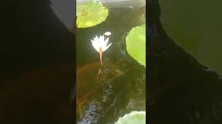 Download lagu December 30, 2025 mp3