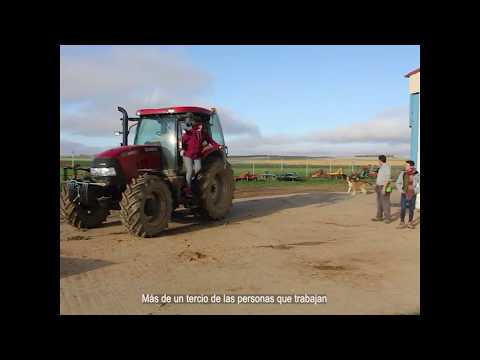 Fotograma del vídeo: Mujeres rurales. Titularidad compartida de las explotaciones agrarias