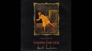 David Sylvian - Taking The Veil- 12 inch Mix