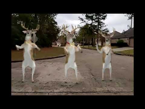 Grandma Got Run Over by a Reindeer