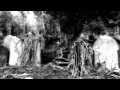 Nest - The Gallant Crow (Skepticism cover)   |  Funeral Doom