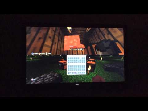 Minecraft hunger games 1v1 w/savage tiger gaming