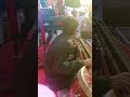 Pacha Mala Poovu Song Veenacover Spbalasubrahmanyam