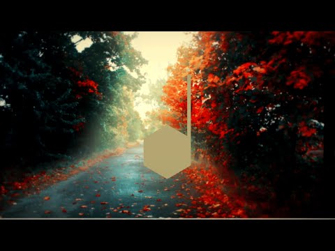 Trivecta ft. Miyoki - The Vale