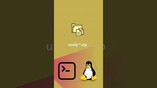 Unzip Multiple Files Linux Ubuntu Command Line #unzip #multiple #file #ubuntu #linux #terminal