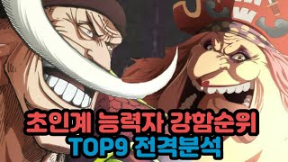[원피스순위]초인계 능력자 강함순위 Top9 전격분석