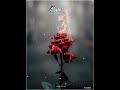 Kadhal Rojave Sad Bgm Whatsapp Status