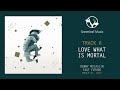 Donny McCaslin | Fast Future - "Love What is Mortal"