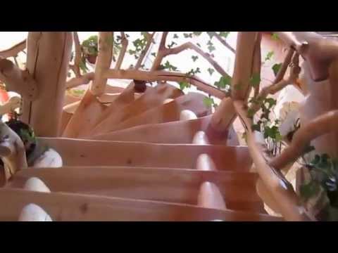 Vissza a Természetbe Gyönyörű Fa Lépcső -back to nature-