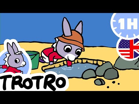 TROTRO BEST MOMENTS | ☀️ Trotro has fun in the sun! ☀️