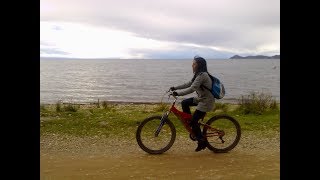 David Sanborn - Goodbye