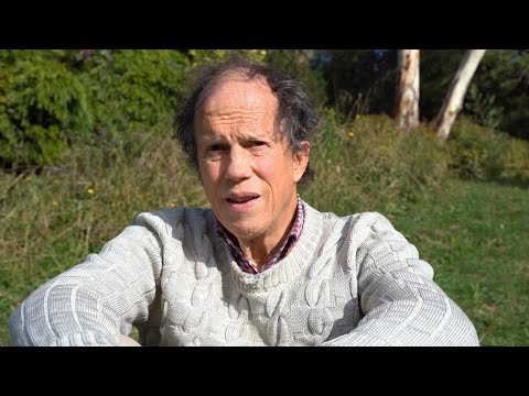 Musing on Understanding & AI - Hugo de Garis, Adam Ford, Michel de Haan