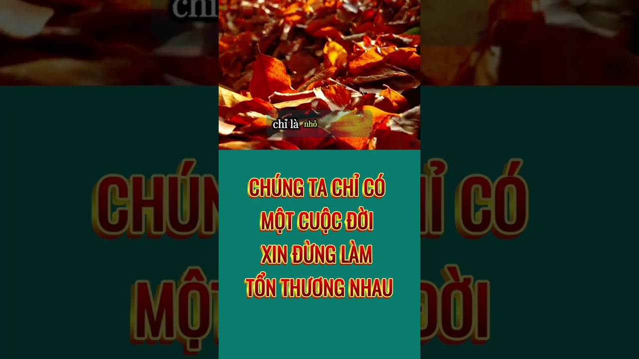 CHÚNG TA CHỈ CÓ MỘT CUỘC ĐỜI – XIN ĐỪNG LÀM TỔN THƯƠNG NHAU