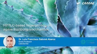 HPTLC-based fingerprinting of agave fructooligosaccharides