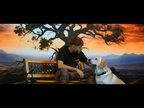 Nikolas - Si copacul din gradina