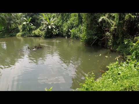 SE03EP076 - FAST & Furious FIVE - NAPASABAK sa MINI LAGOON ng San Antonio Quezon | Catch & Cook