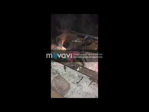 Новый проект 43