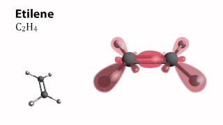 L'ibridazione dell'atomo di carbonio (tratto da Dal carbonio agli OGM)