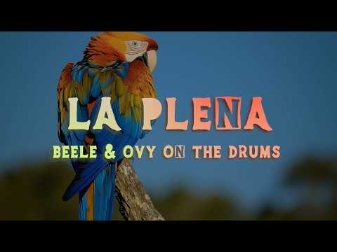Beéle, Westcol, Ovy On The Drums - LA PLENA (Lyrics/Letra)