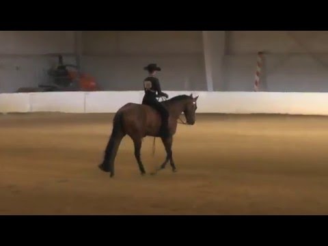 2015 12 06 Erin's Youth Bareback Eq 14 18
